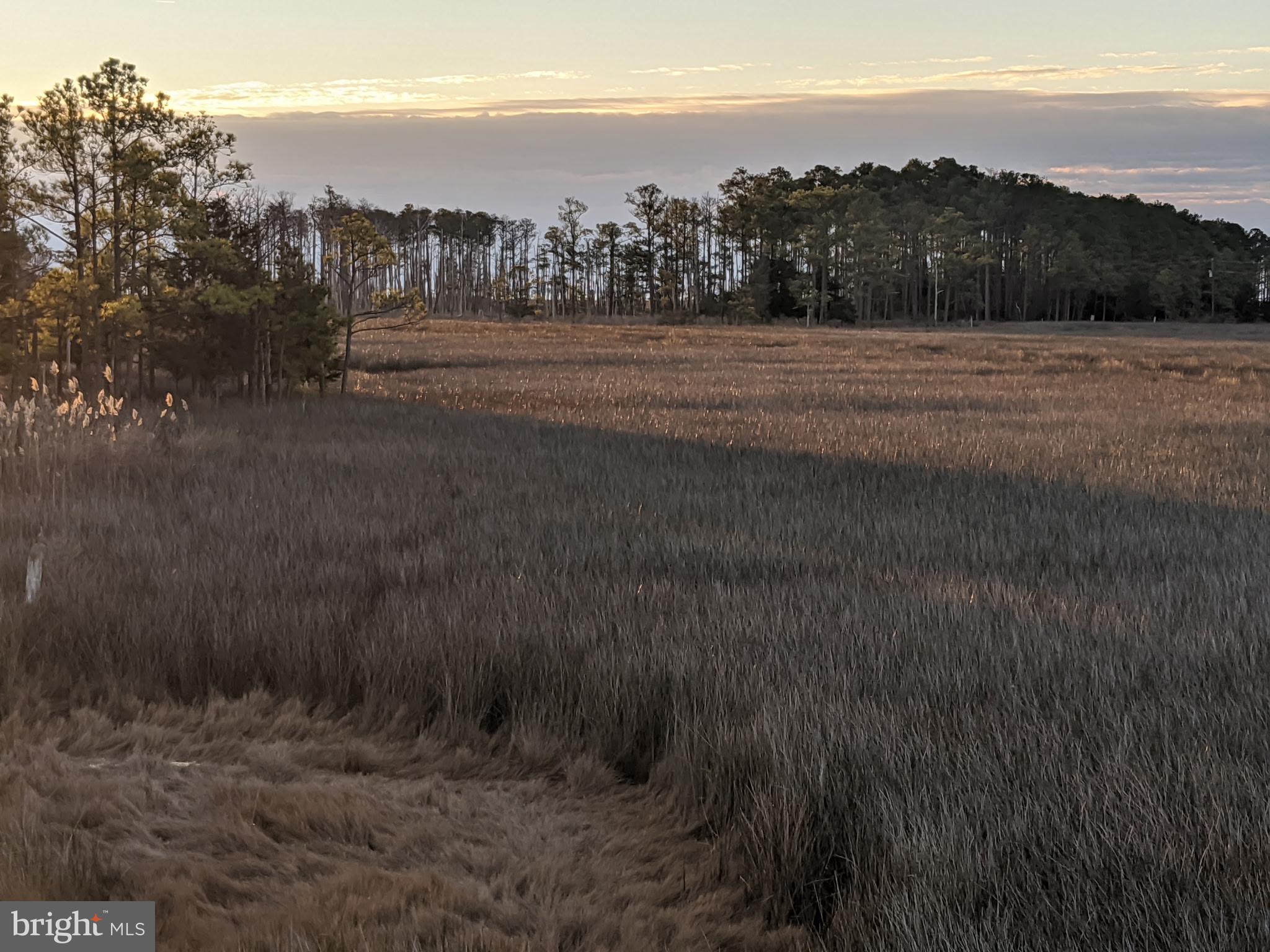 0 Goose Creek Road Toddville, MD 21672 - Photo 3 of 12 a view of a city