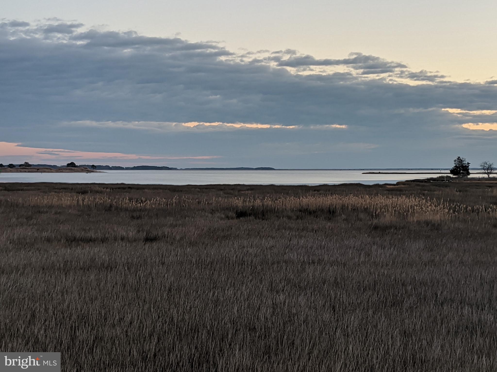 0 Goose Creek Road Toddville, MD 21672 - Photo 4 of 12 a view of an ocean and beach