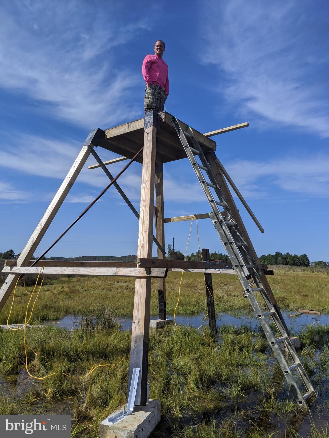 0 Goose Creek Road Toddville, MD 21672 - Photo 7 of 12 a picture of a building in the background