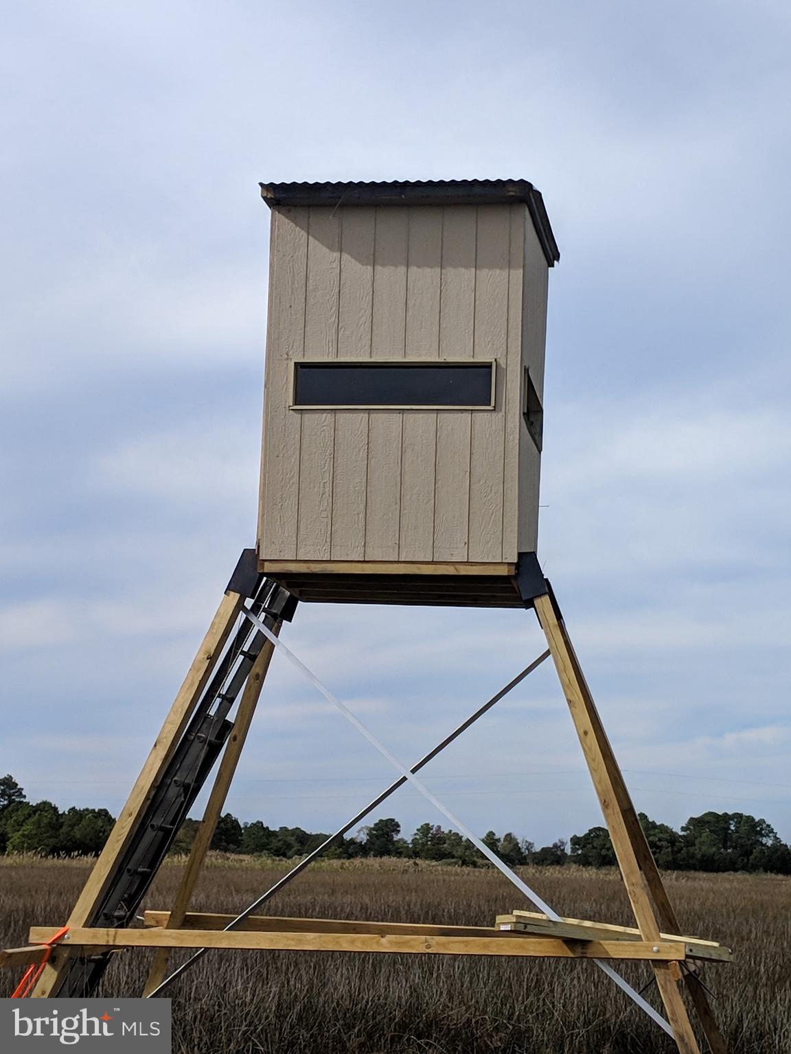 0 Goose Creek Road Toddville, MD 21672 - Photo 9 of 12 a car parked in front of a house