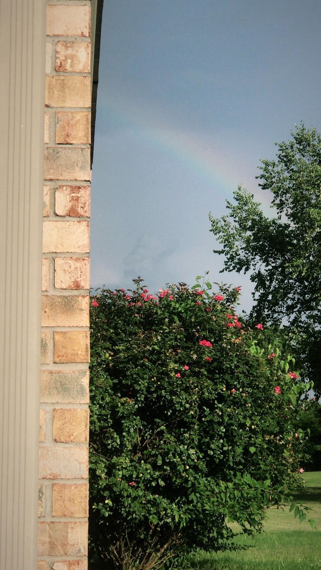 1229 Hunters Point Lane Spring Hill, TN 37174 - Photo 4 of 29 Gallery Image 4
