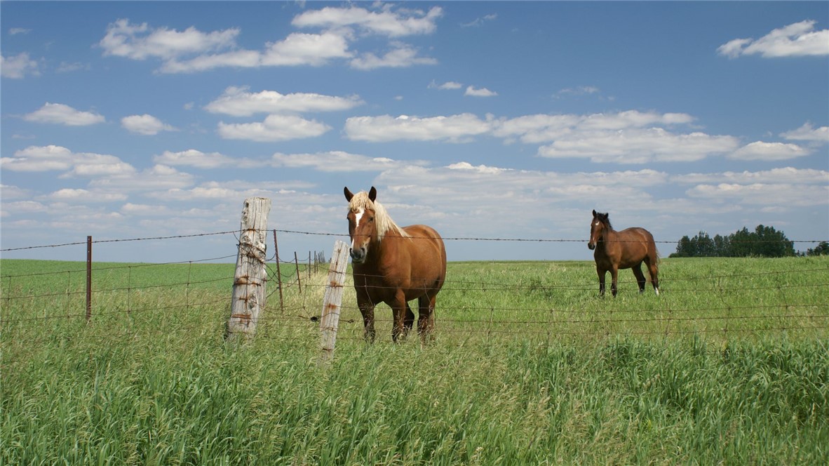 3501 Hunters Crossing Trail Bryan, TX 77808 - Photo 3 of 10 a view of a garden