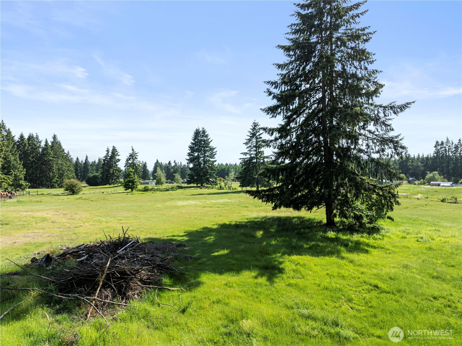 16915 Eugene Street Southwest Rochester, WA 98579 - Photo 32 of 38