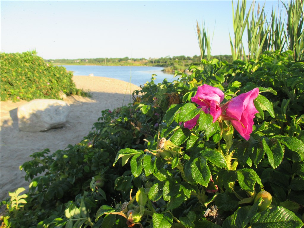 47 Shore Road Westerly, RI 02891 - Photo 42 of 43