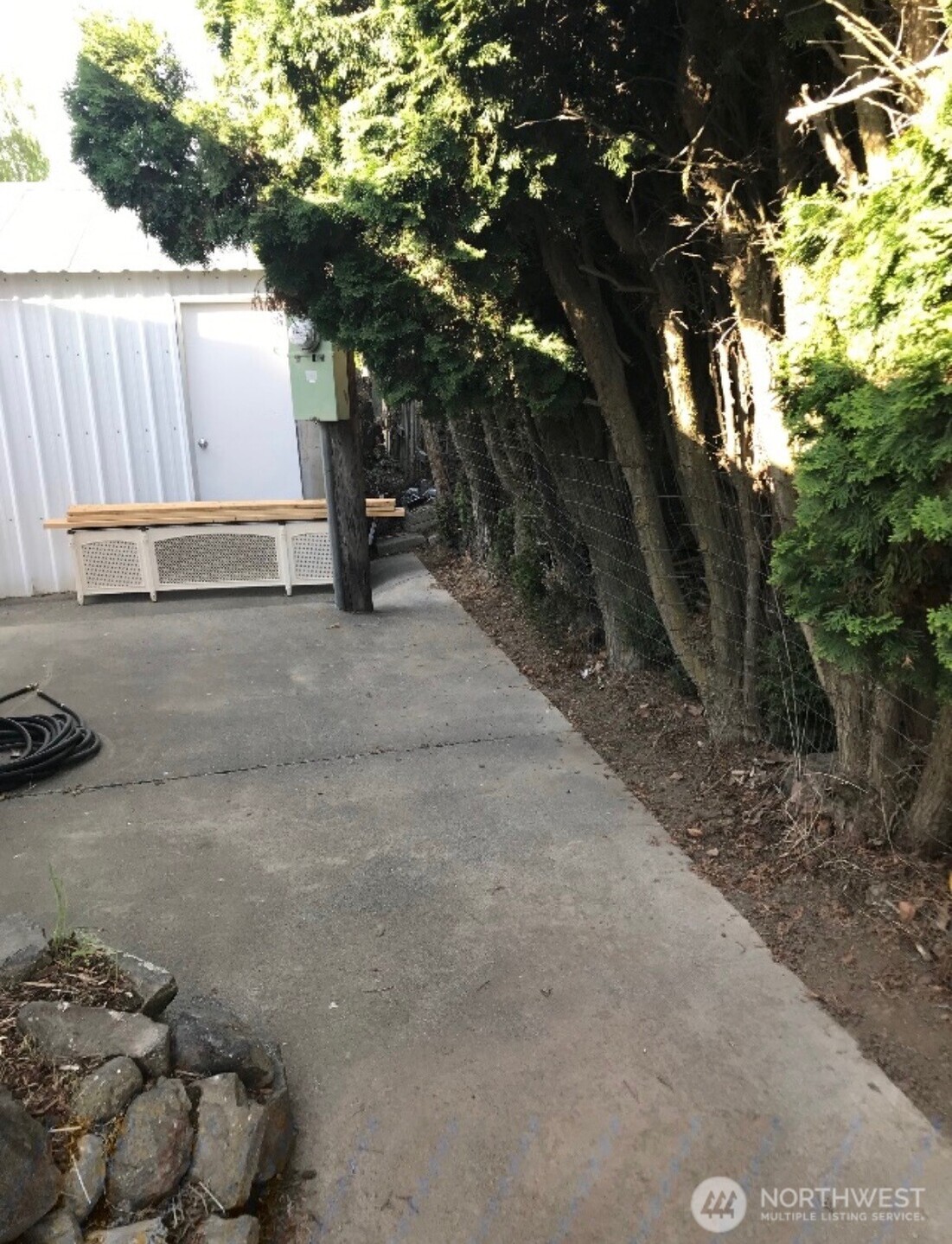 402 West 6th Avenue Ritzville, WA 99169 - Photo 14 of 19 a view of backyard and tree