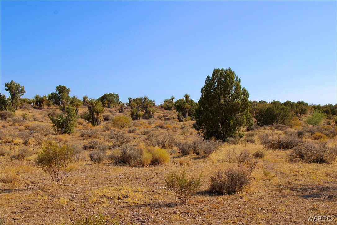 11448 Vigil Road Dolan Springs, AZ 86441 - Photo 13 of 18 Other