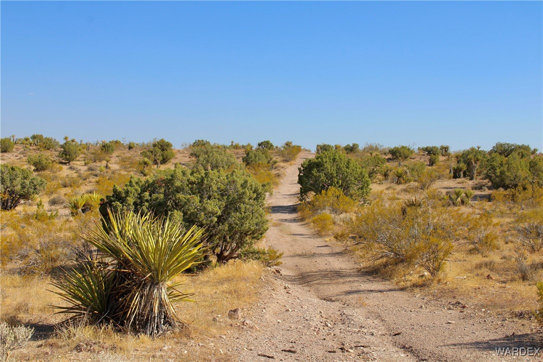 11448 Vigil Road Dolan Springs, AZ 86441 - Photo 6 of 18 Other