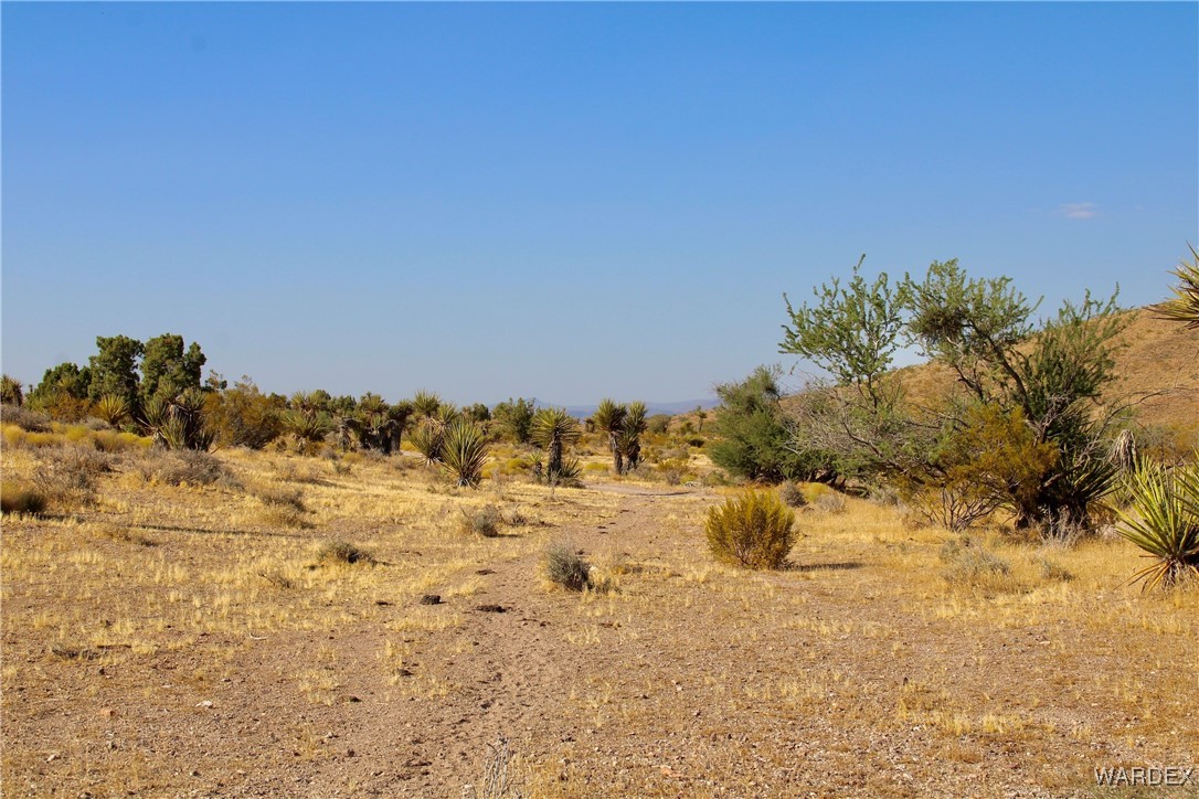 11448 Vigil Road Dolan Springs, AZ 86441 - Photo 10 of 18 Other