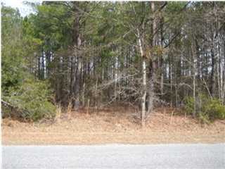 0 Penny Creek Road Ruffin, SC 29475 - Photo 1 of 4 Primary Photo