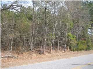 0 Penny Creek Road Ruffin, SC 29475 - Photo 3 of 4 Additional Photo