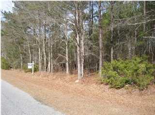 0 Penny Creek Road Ruffin, SC 29475 - Photo 4 of 4 Additional Photo