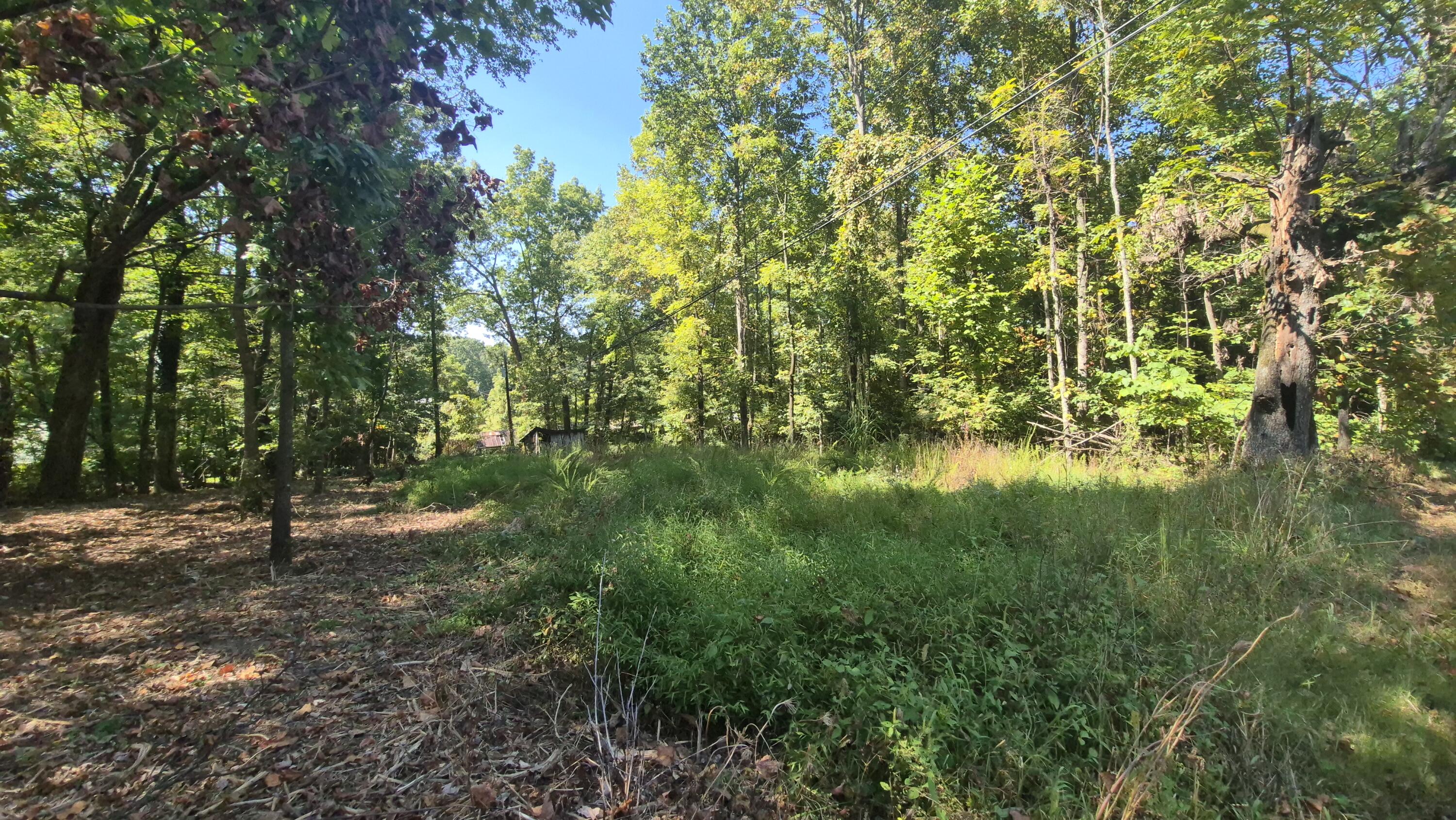 0 Spring Street, Unit ONE ACRE) Monteagle, TN 37356 - Photo 11 of 27 Spring(24)