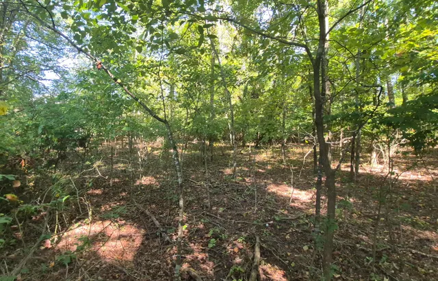 $90,000 | 0 Spring Street, Unit ONE ACRE), Monteagle, TN 37356