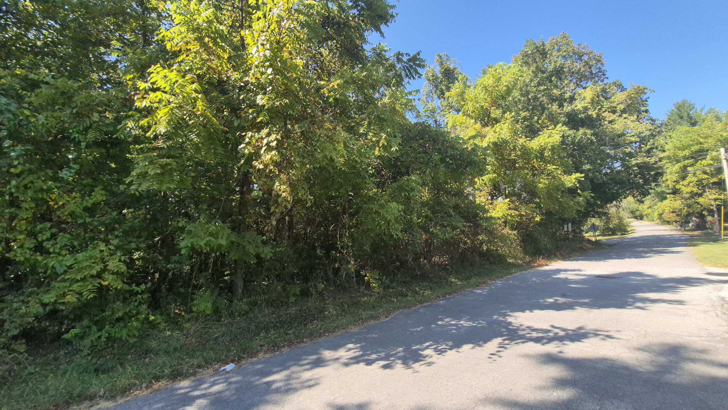 0 Spring Street, Unit ONE ACRE) Monteagle, TN 37356 - Photo 12 of 22 Spring(14)