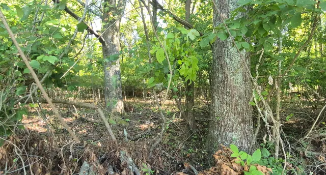 $90,000 | 0 Spring Street, Unit ONE ACRE), Monteagle, TN 37356