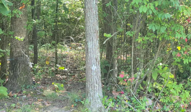 $90,000 | 0 Spring Street, Unit ONE ACRE), Monteagle, TN 37356