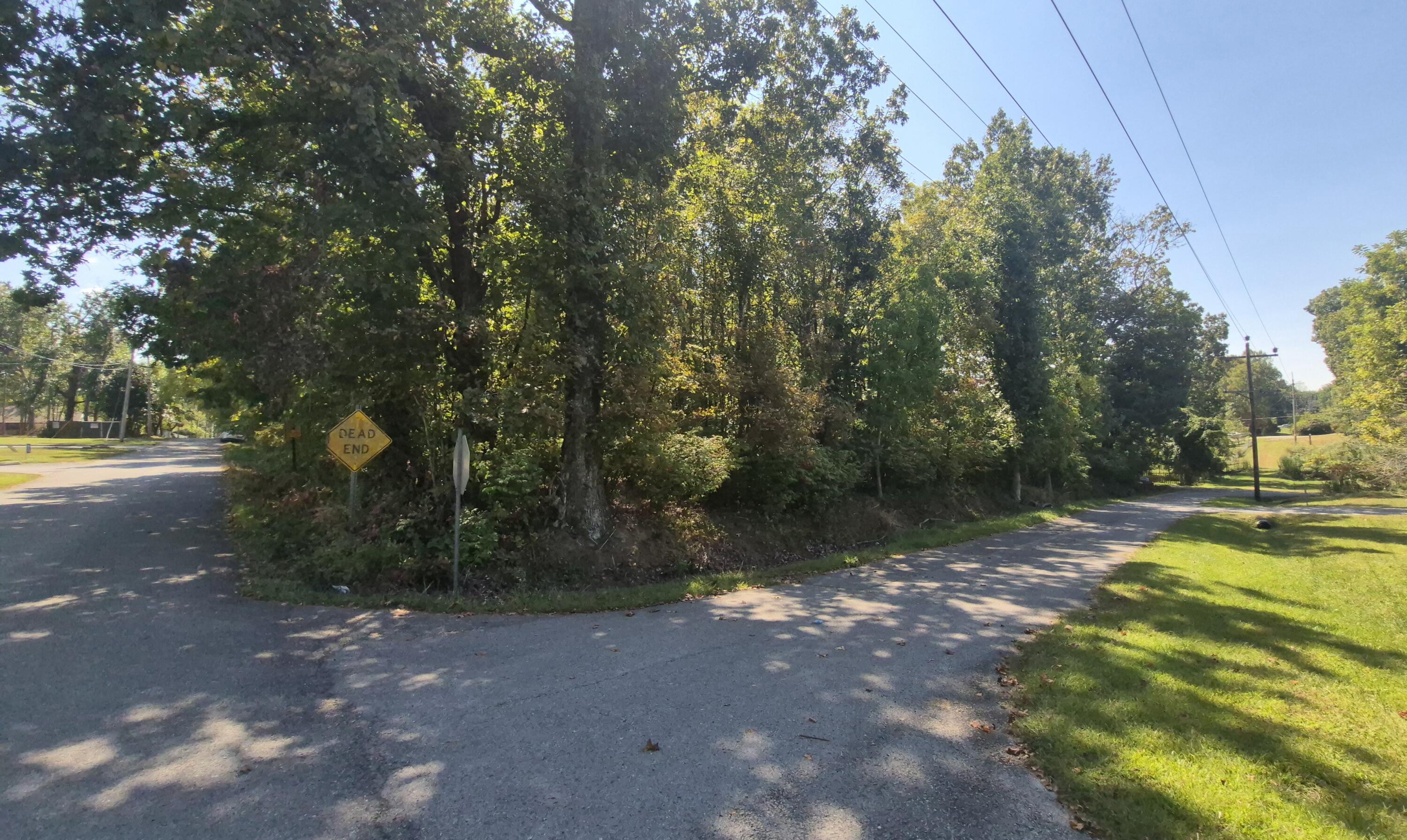 0 Spring Street, Unit ONE ACRE) Monteagle, TN 37356 - Photo 14 of 22 Spring(19)