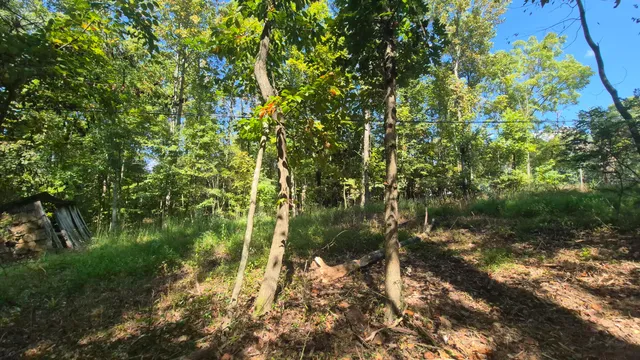 $90,000 | 0 Spring Street, Unit ONE ACRE), Monteagle, TN 37356