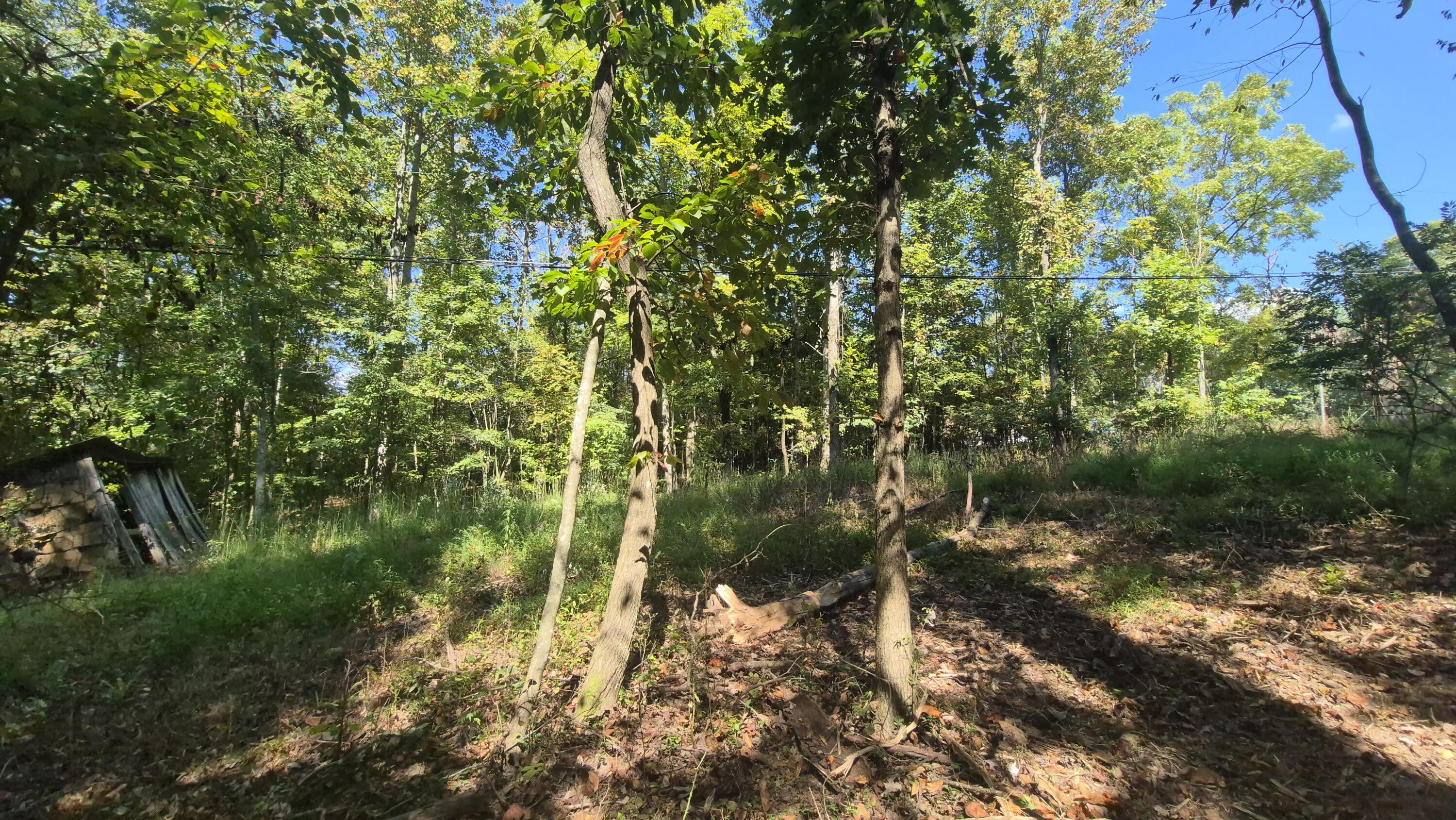 0 Spring Street, Unit ONE ACRE) Monteagle, TN 37356 - Photo 15 of 27 Spring(16)