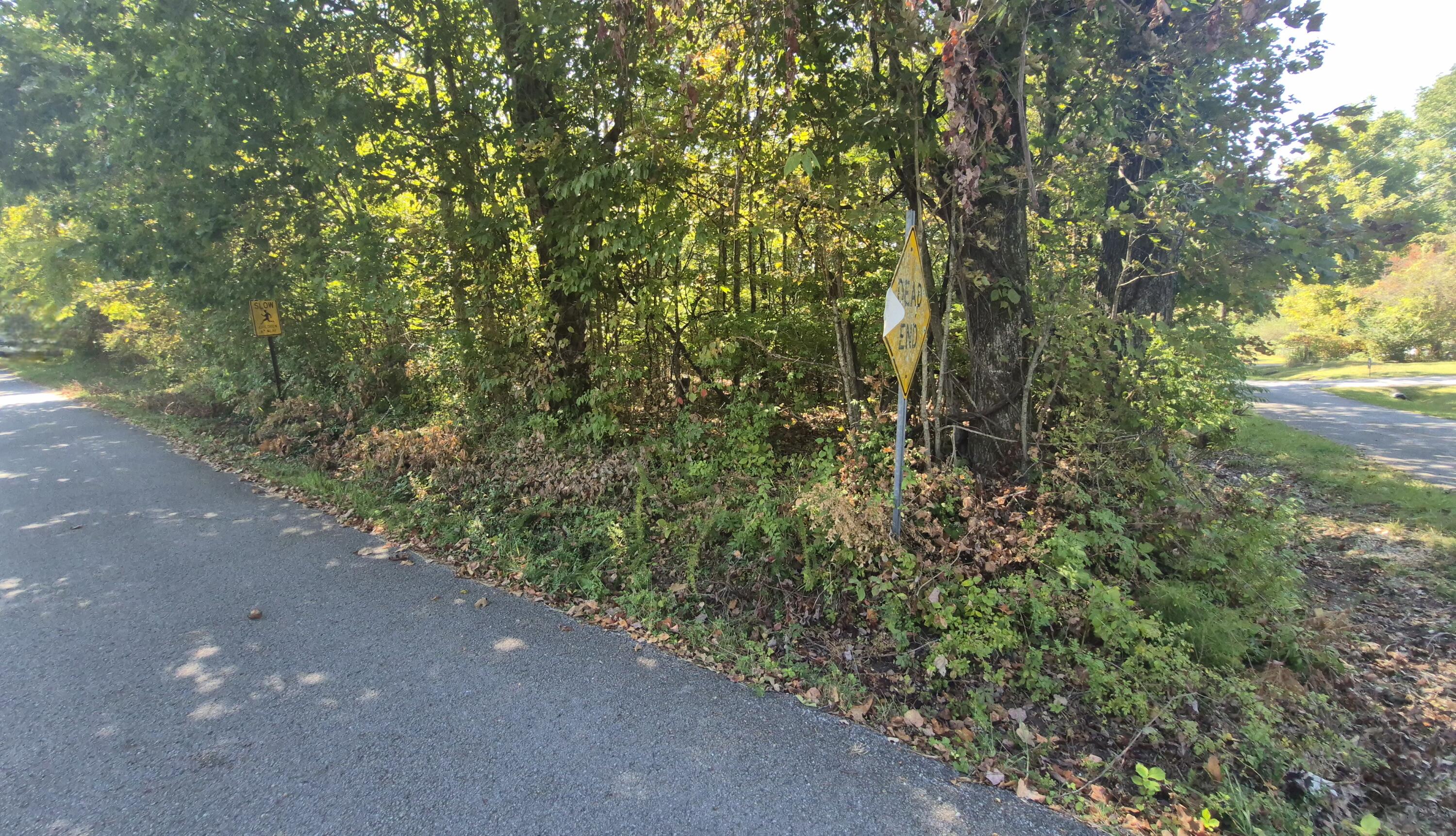 0 Spring Street, Unit ONE ACRE) Monteagle, TN 37356 - Photo 16 of 22 Spring(27)