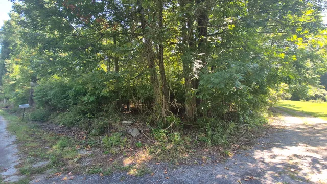 $90,000 | 0 Spring Street, Unit ONE ACRE), Monteagle, TN 37356