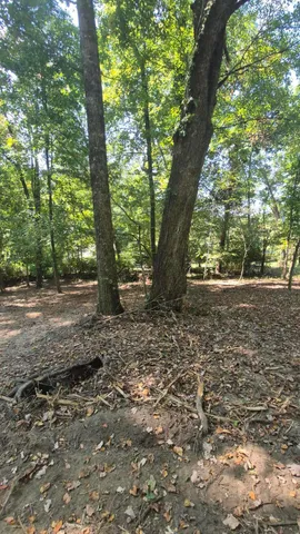 $90,000 | 0 Spring Street, Unit ONE ACRE), Monteagle, TN 37356