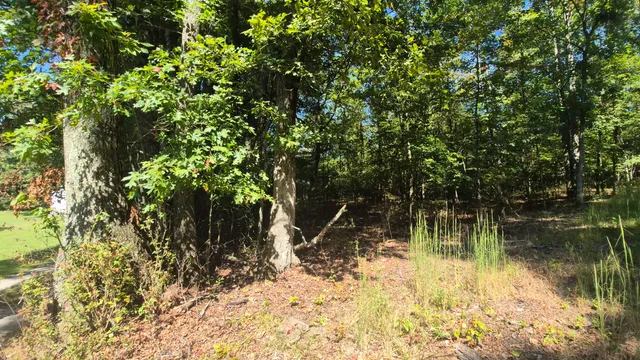 $90,000 | 0 Spring Street, Unit ONE ACRE), Monteagle, TN 37356