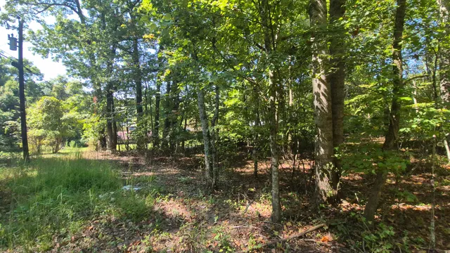 $90,000 | 0 Spring Street, Unit ONE ACRE), Monteagle, TN 37356
