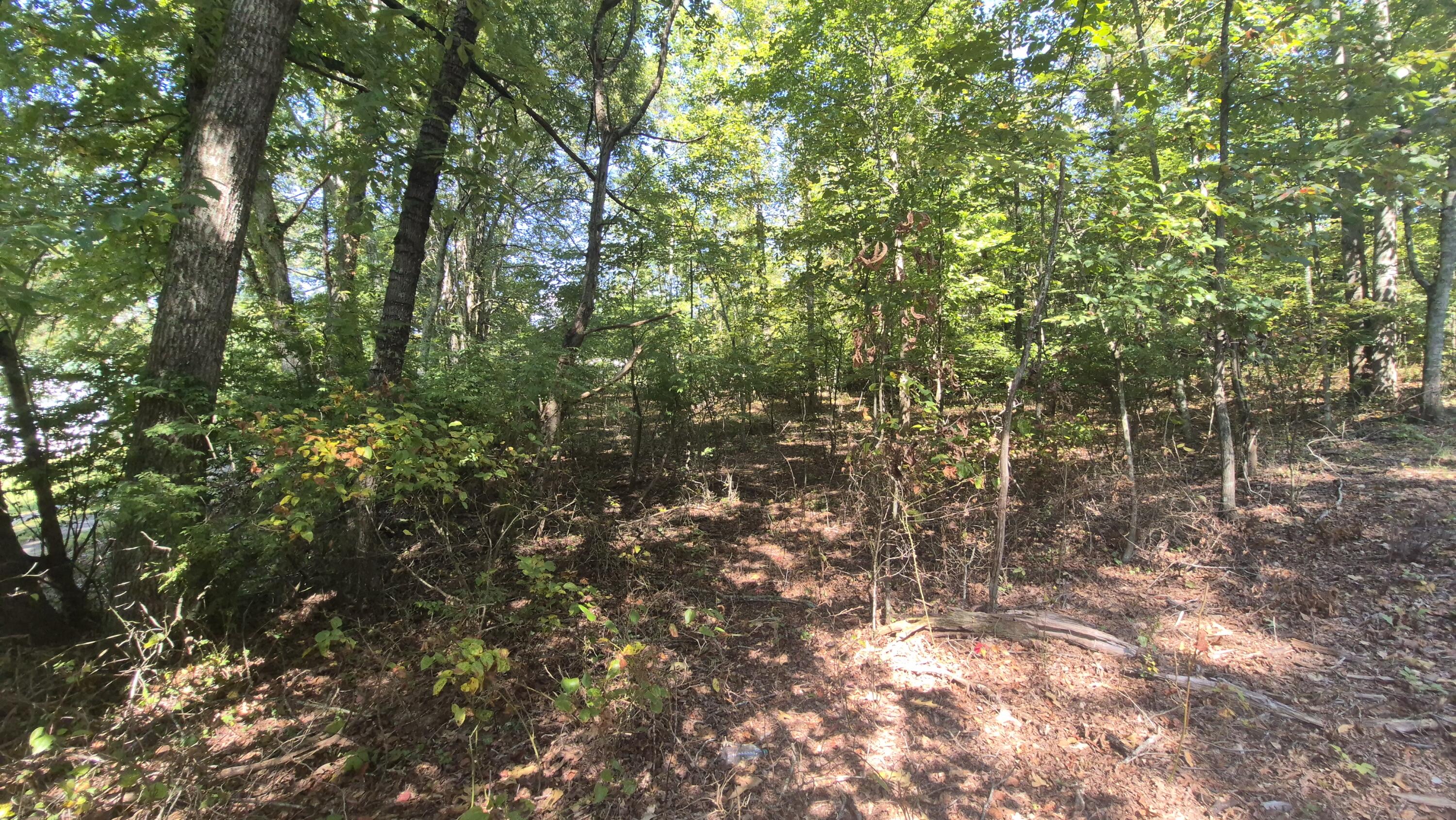 0 Spring Street, Unit ONE ACRE) Monteagle, TN 37356 - Photo 6 of 22 Spring(18)