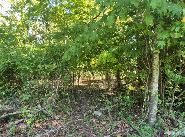 $90,000 | 0 Spring Street, Unit ONE ACRE), Monteagle, TN 37356