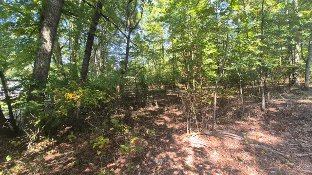 $90,000 | 0 Spring Street, Unit ONE ACRE), Monteagle, TN 37356