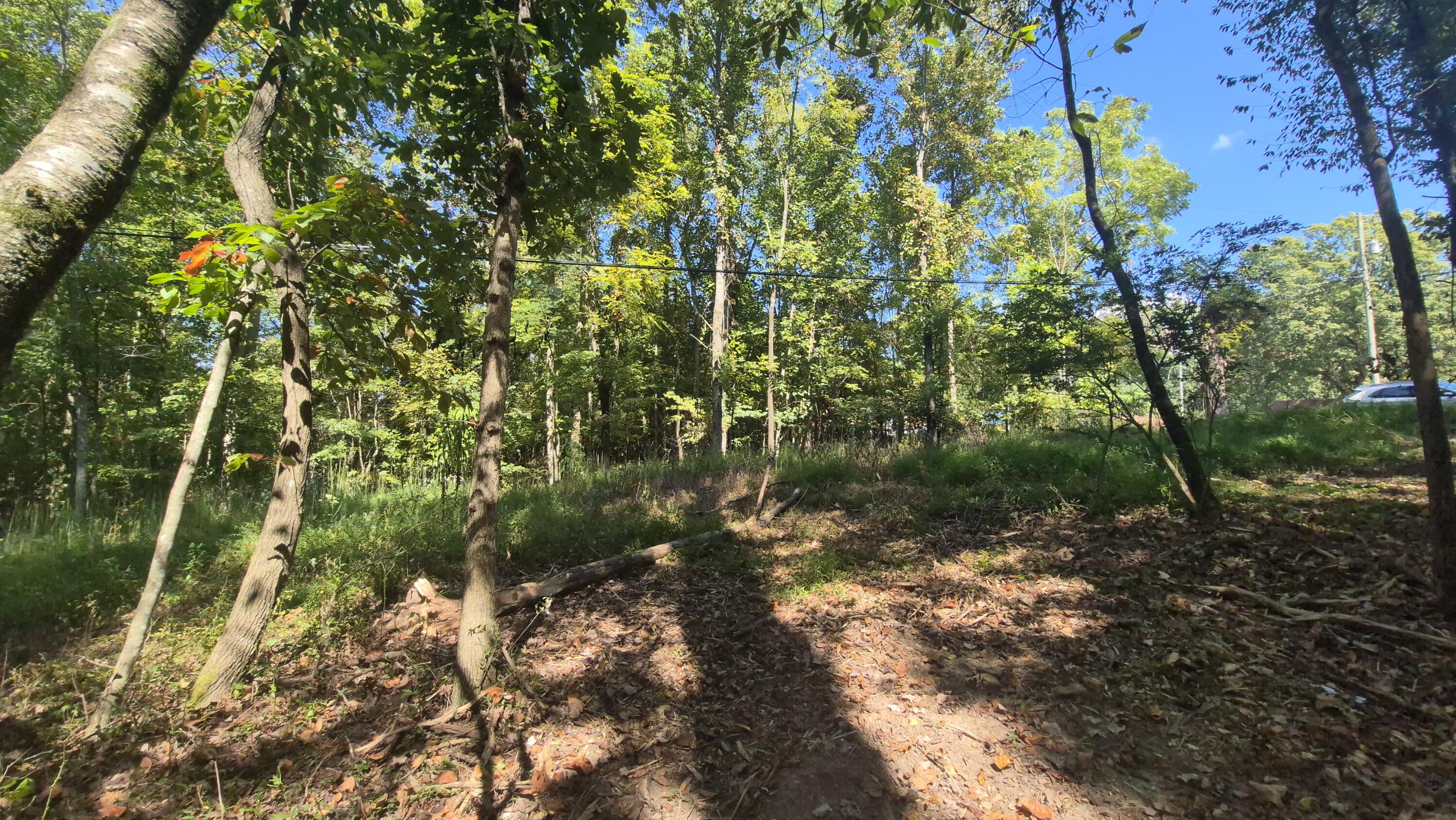 0 Spring Street, Unit ONE ACRE) Monteagle, TN 37356 - Photo 8 of 27 Spring(22)