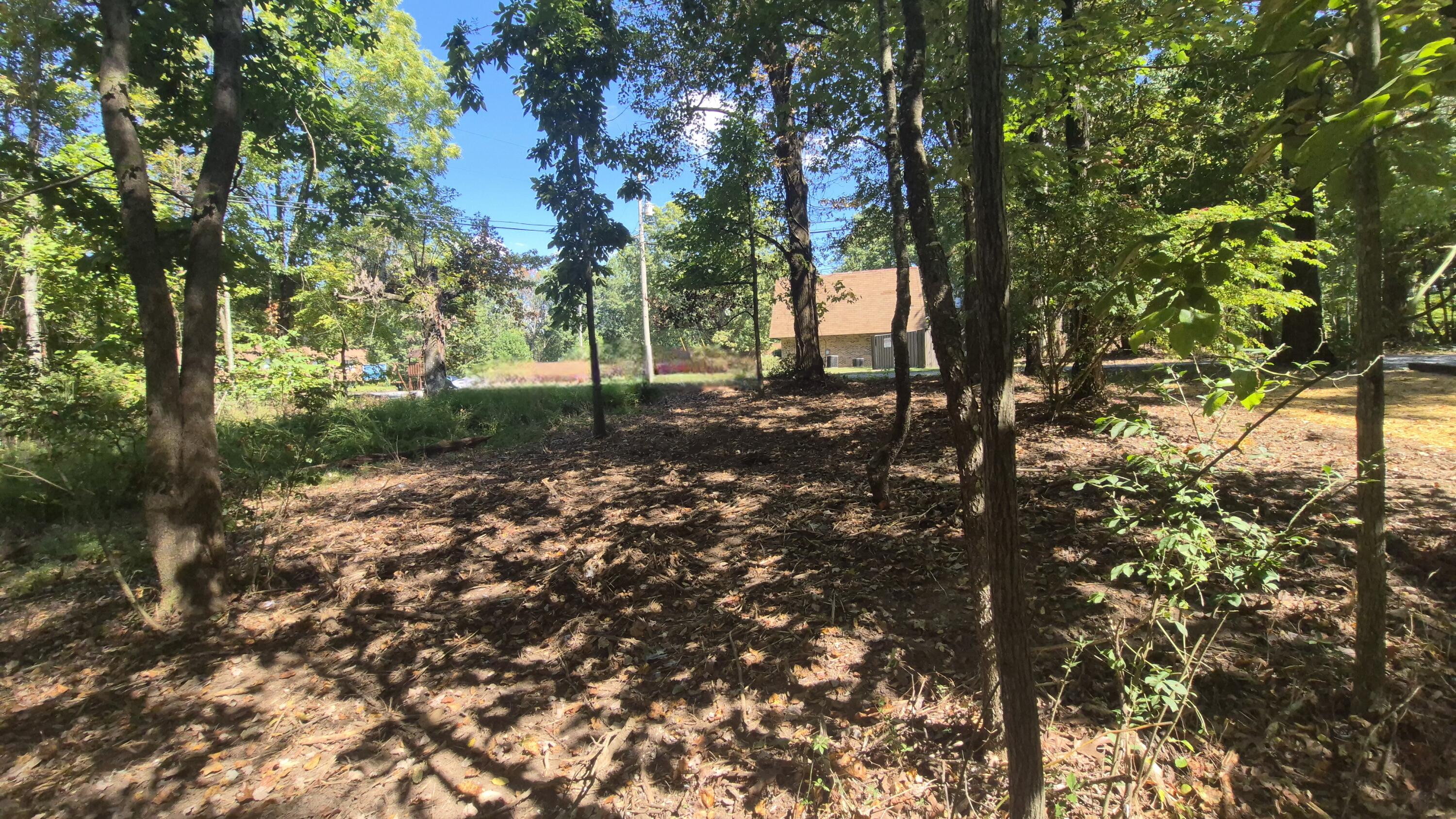 0 Spring Street, Unit ONE ACRE) Monteagle, TN 37356 - Photo 10 of 27 Spring(28)