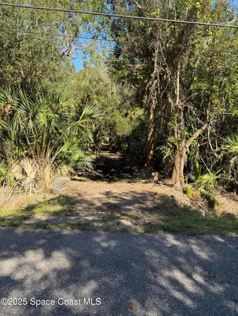 a view of a yard with a tree