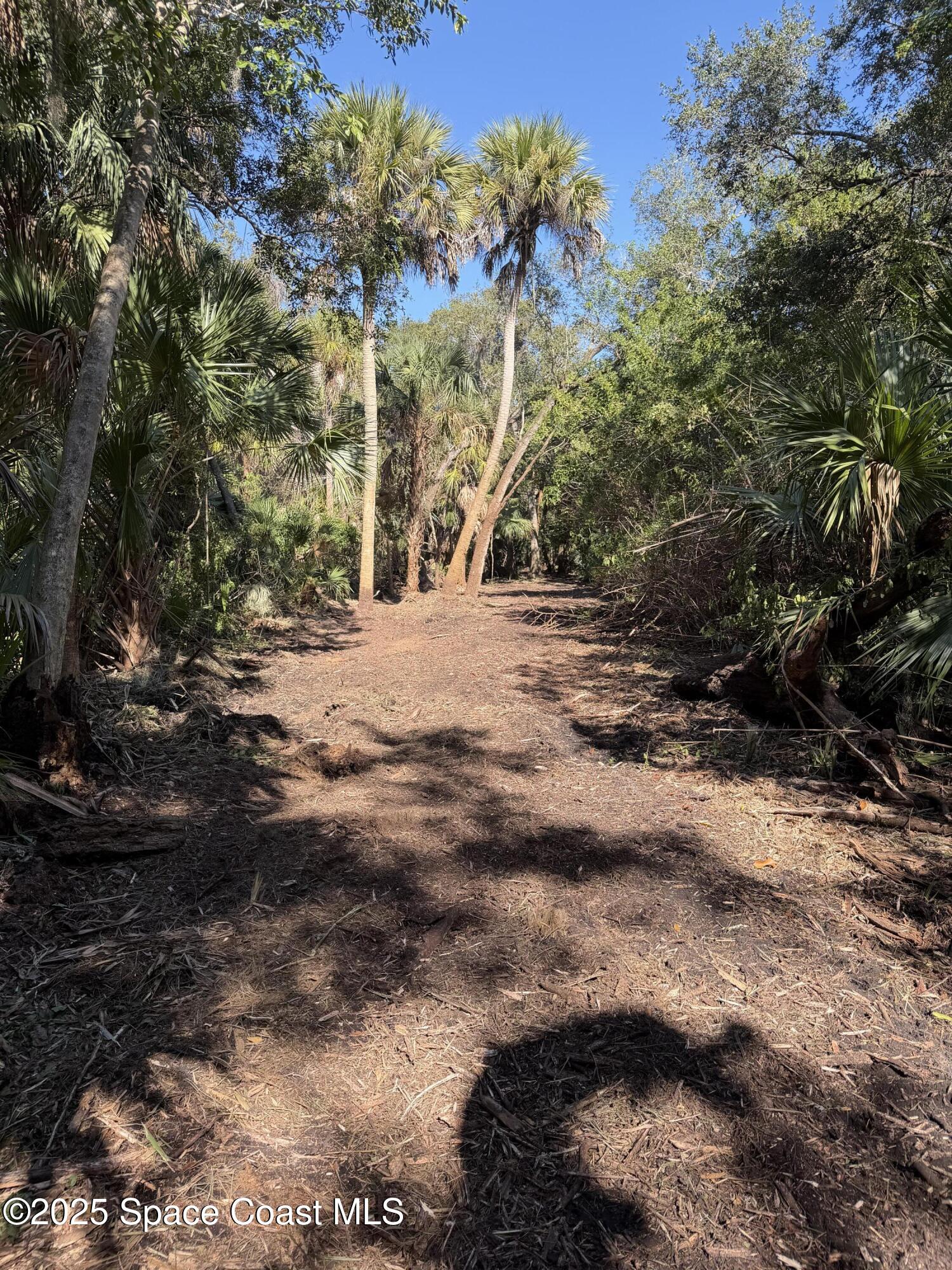 0 Valkaria Road Malabar, FL 32950 - Photo 6 of 17 a view of a yard with plants and trees