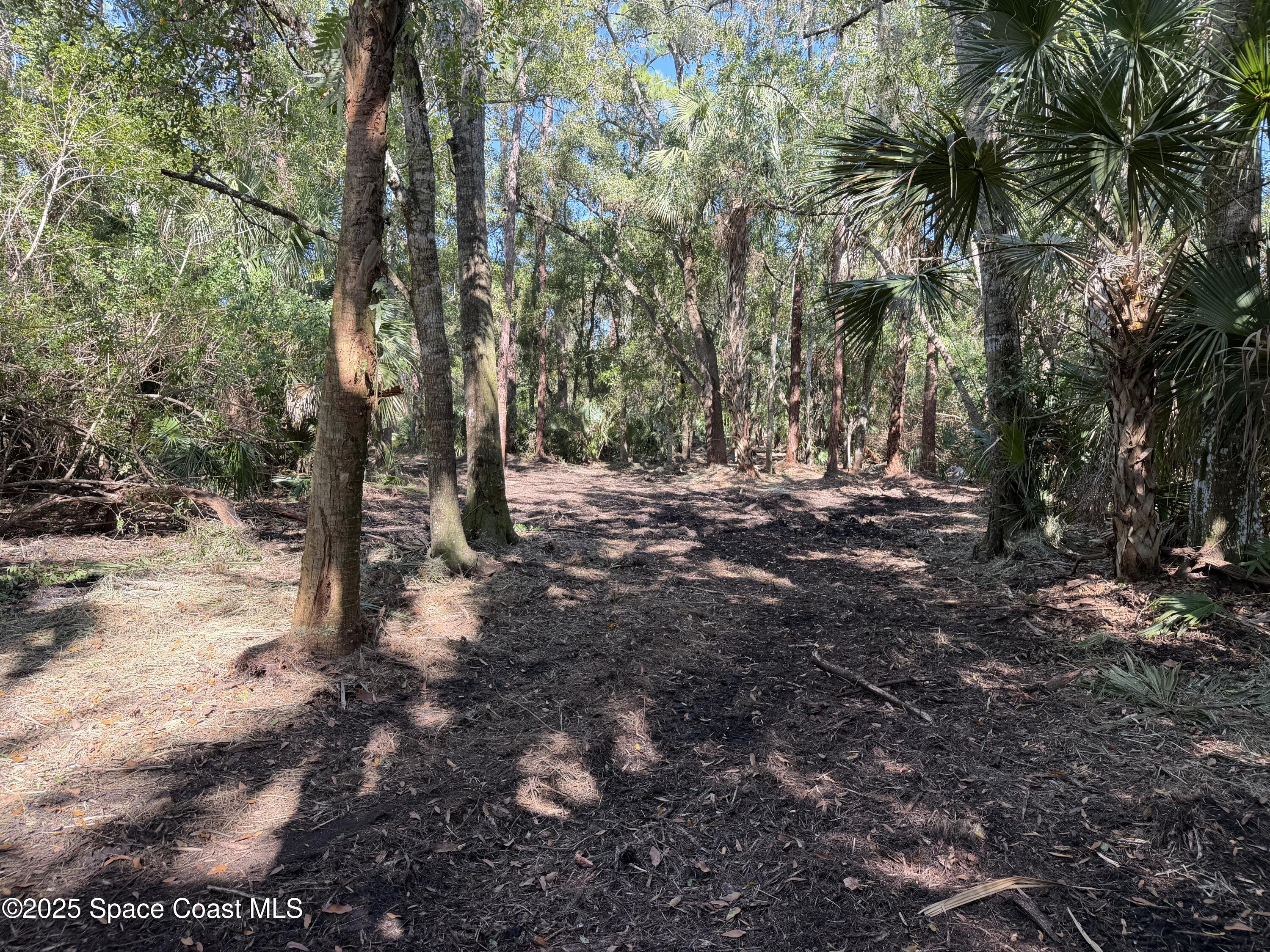 0 Valkaria Road Malabar, FL 32950 - Photo 9 of 17 a view of outdoor space with trees