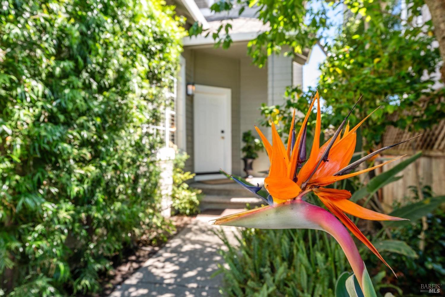160 Baypoint Drive San Rafael, CA 94901 - Photo 11 of 21