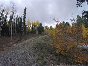 574 Spearpoint Road Como, CO 80456 - Photo 22 of 22 Gallery Image 22
