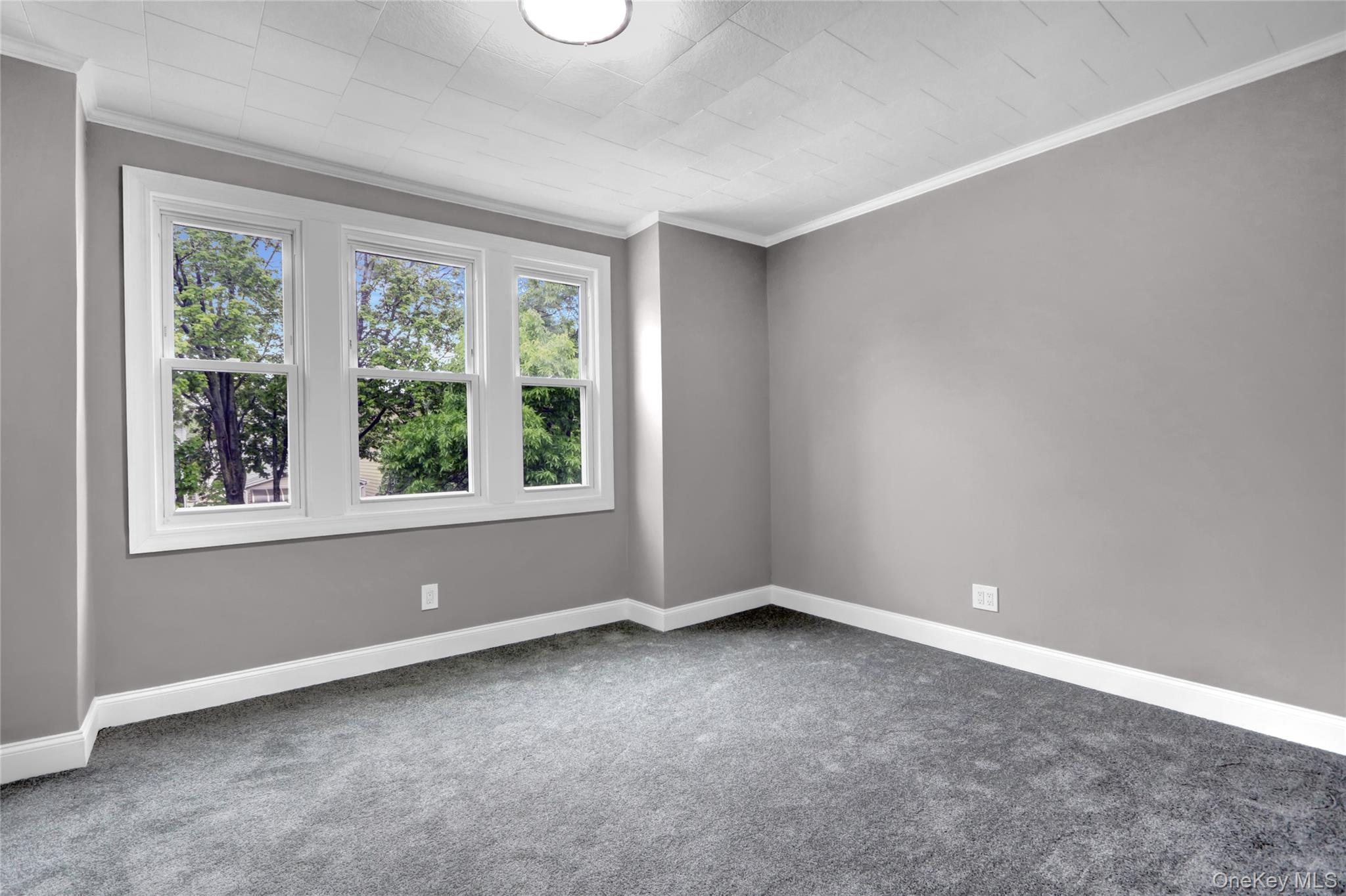 62-22 80th Road Queens, NY 11385 - Photo 12 of 22