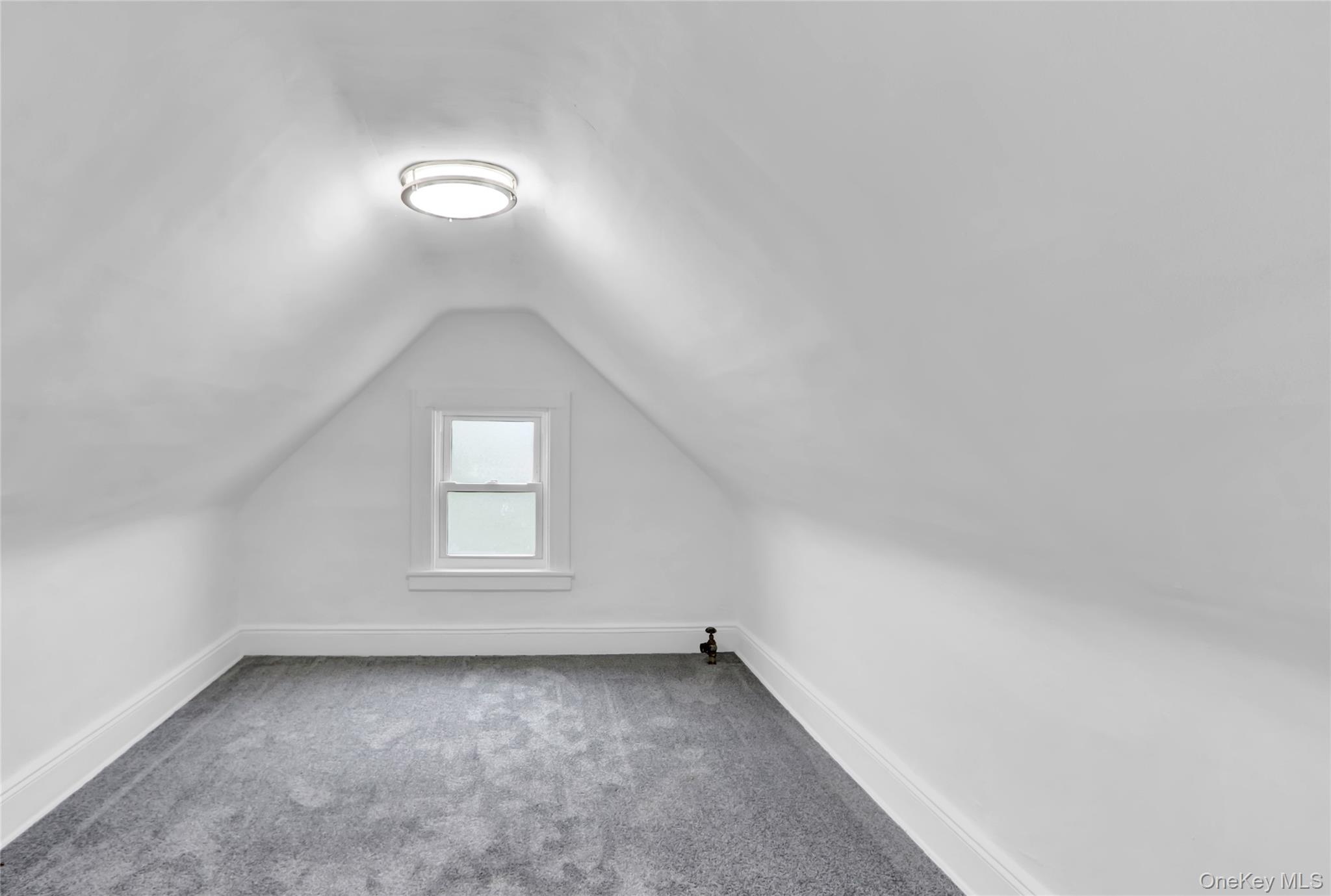 62-22 80th Road Queens, NY 11385 - Photo 18 of 22