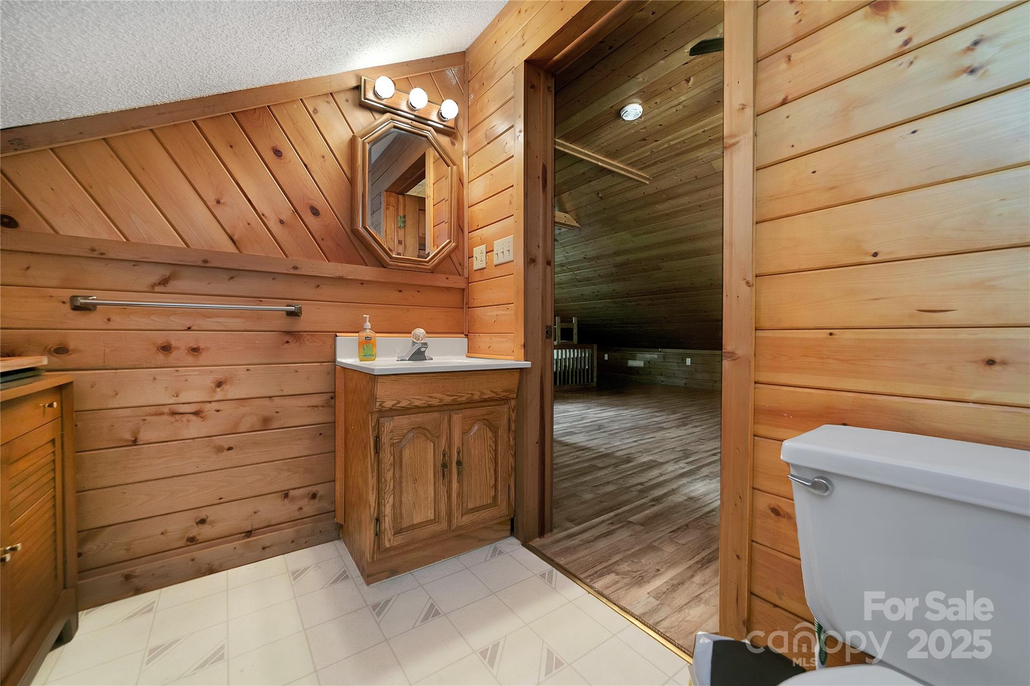 261 Franks Cove Road Brevard, NC 28712 - Photo 20 of 34 a bathroom with a sink and a mirror