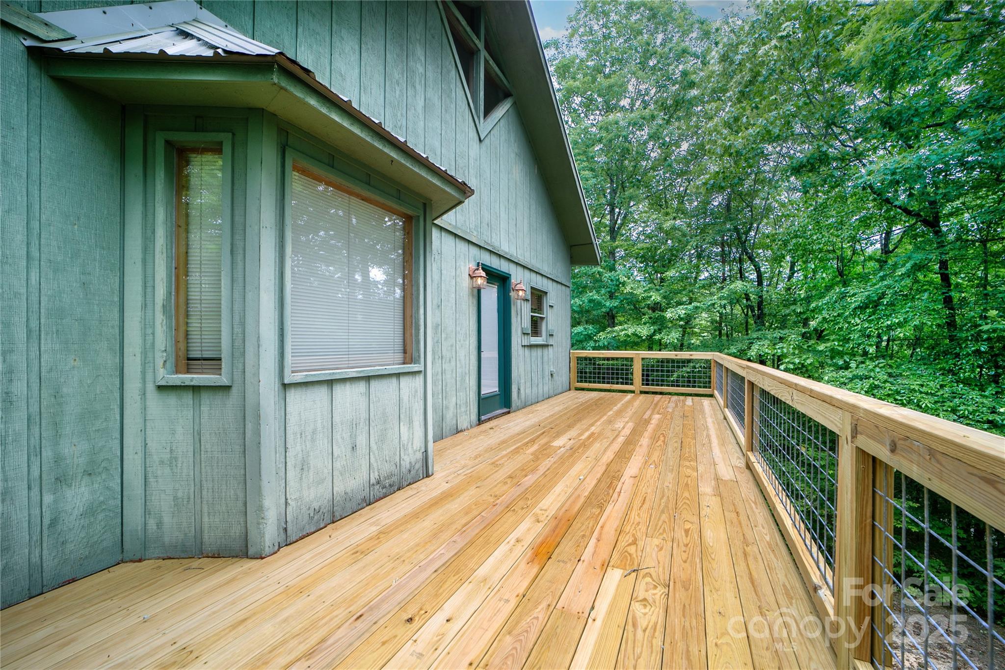 261 Franks Cove Road Brevard, NC 28712 - Photo 26 of 34