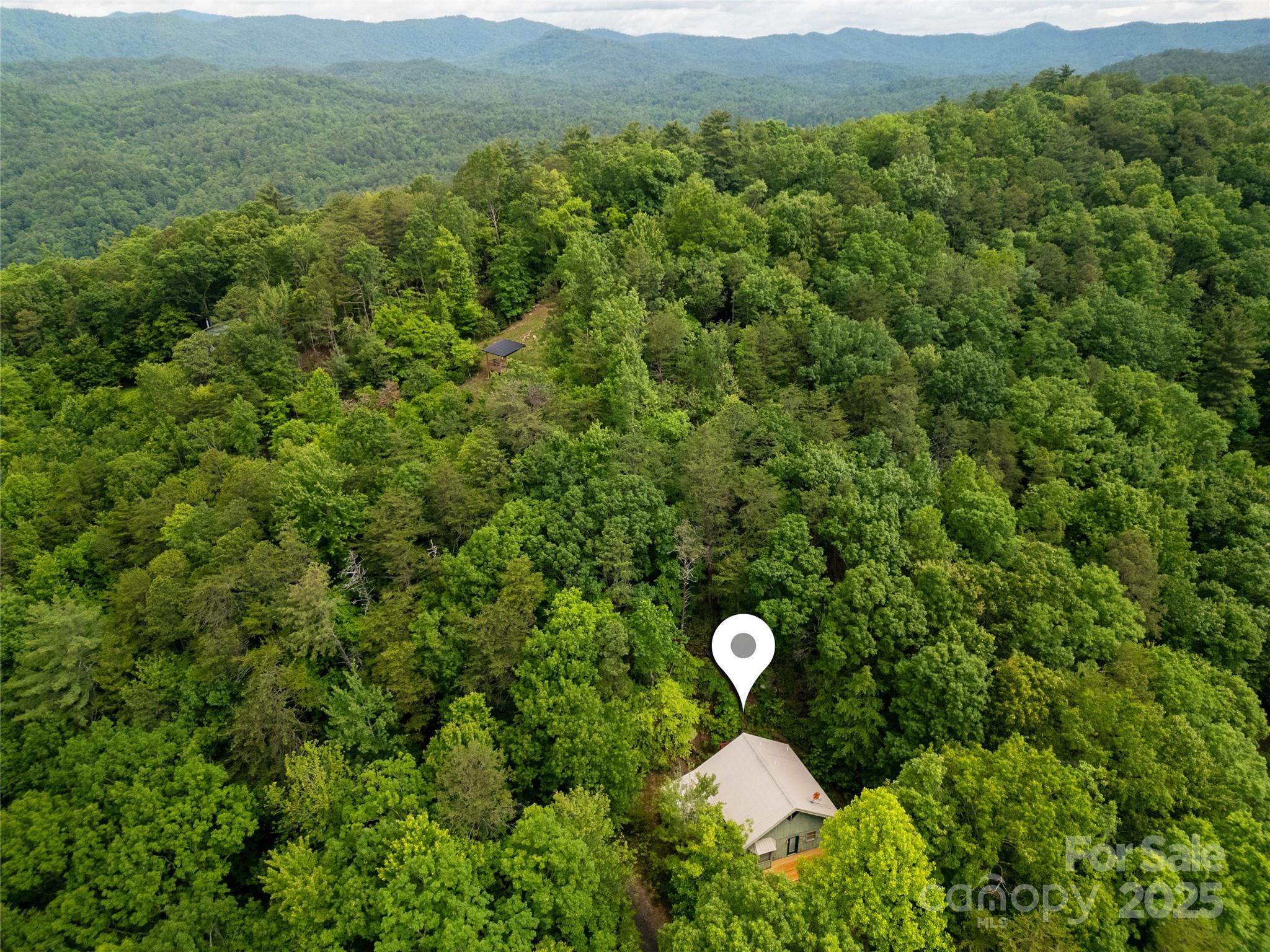 261 Franks Cove Road Brevard, NC 28712 - Photo 33 of 34