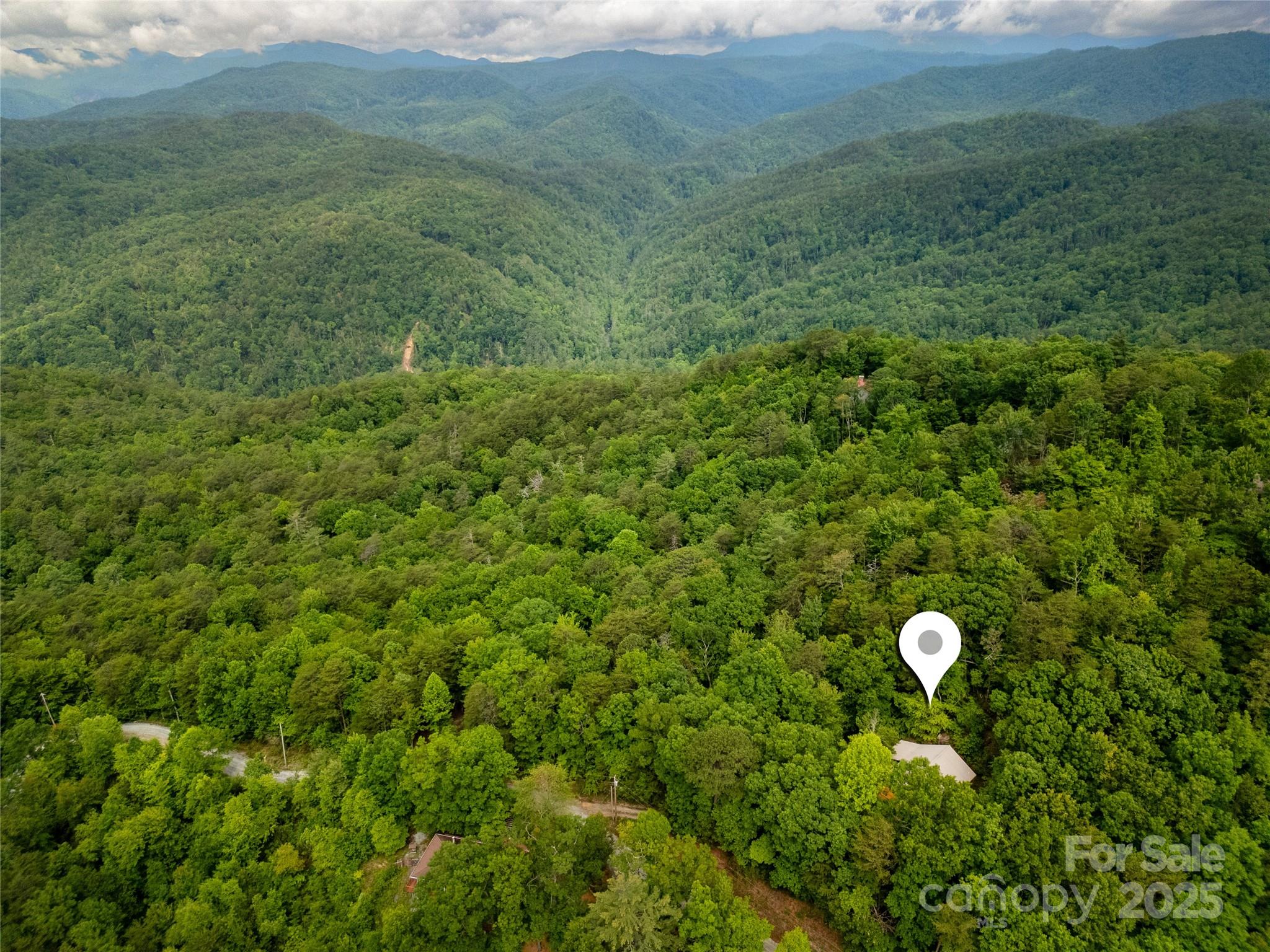 261 Franks Cove Road Brevard, NC 28712 - Photo 4 of 34 a view of a lush green field