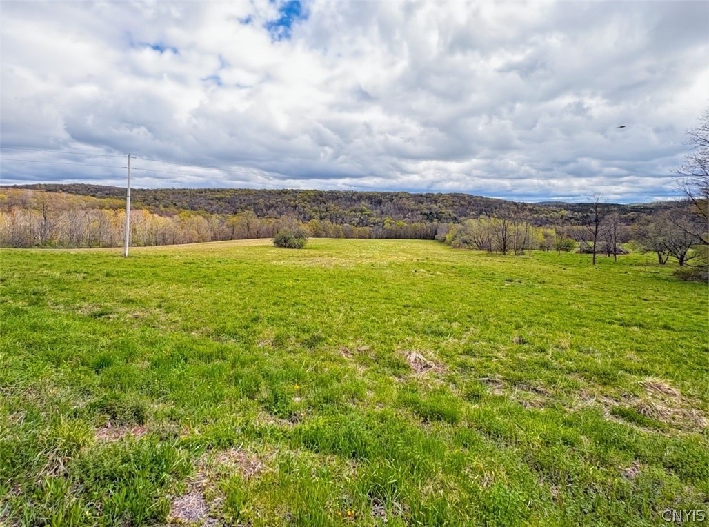7828 Gorton Lake Road Sangerfield, NY 13480 - Photo 2 of 4