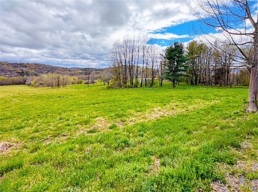 7828 Gorton Lake Road Sangerfield, NY 13480 - Photo 3 of 4