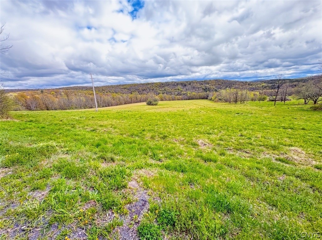7828 Gorton Lake Road Sangerfield, NY 13480 - Photo 4 of 4