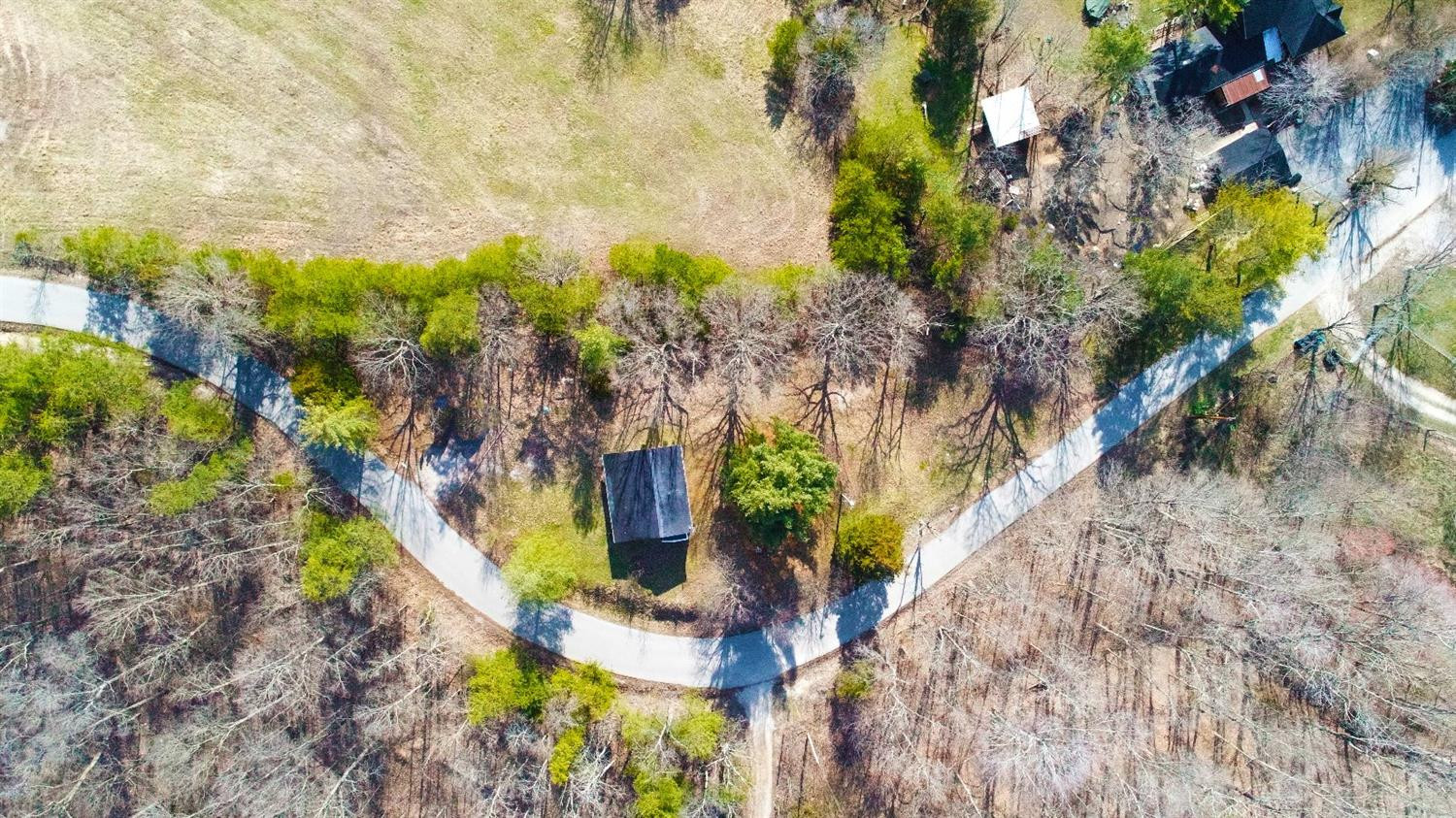 1605 Racetrack Road Irvine, KY 40336 - Photo 4 of 23 Corner lot big enough to build a large g
