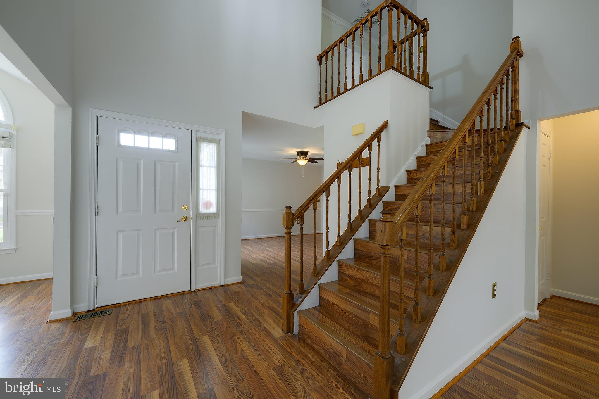 14224 Greenview Drive Laurel, MD 20708 - Photo 4 of 30 Freshly painted throughout with