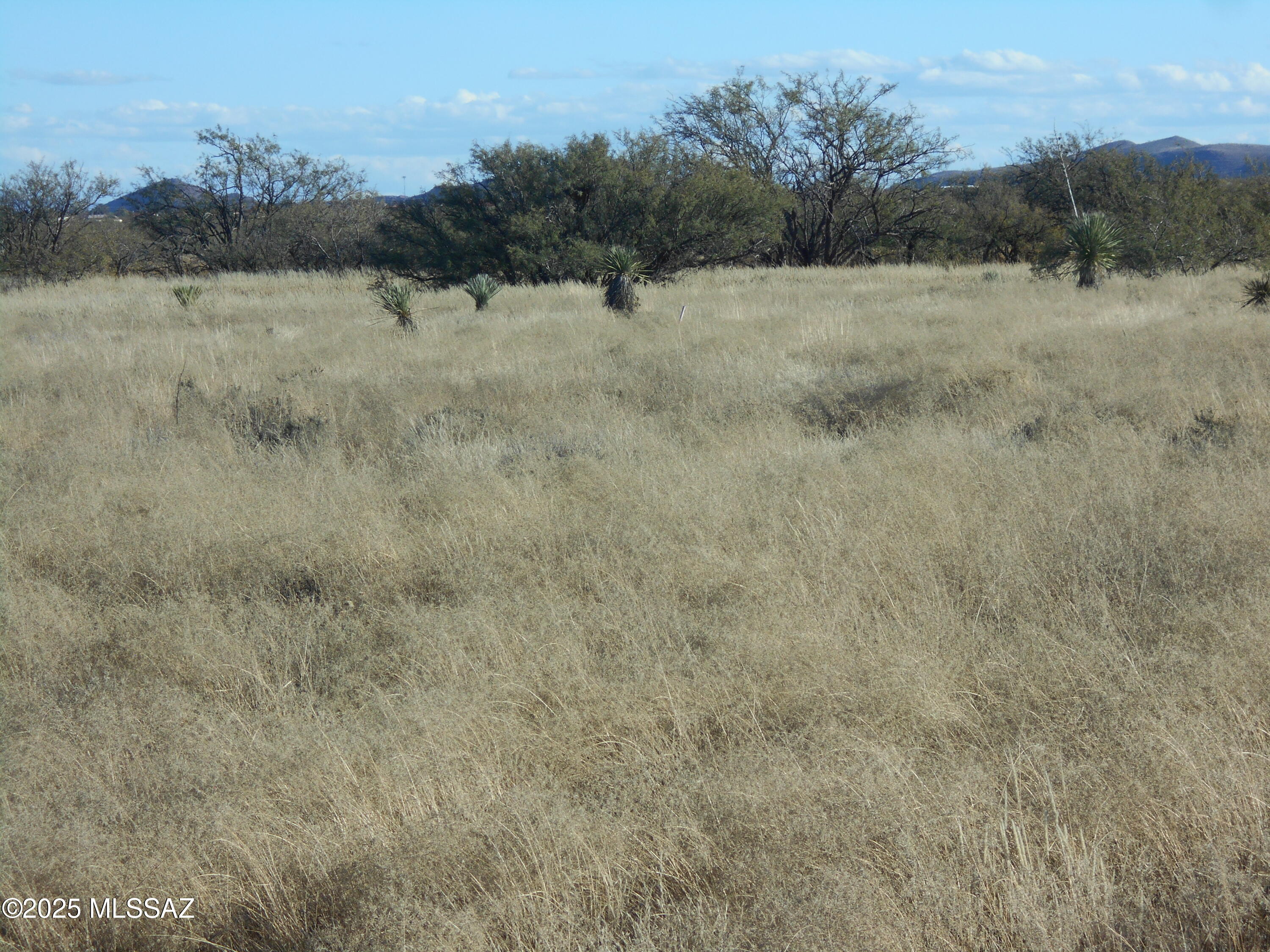 4.25-acres Eastland Road, Unit 8 Cochise, AZ 85606 - Photo 13 of 35